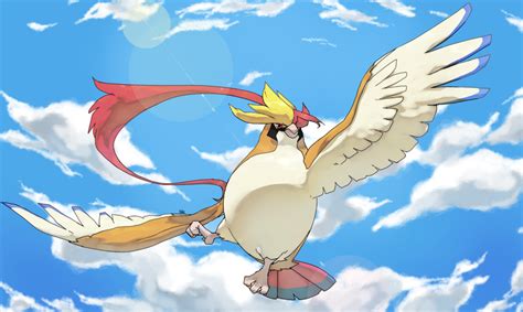 mega pidgeot smogon|Monotype .